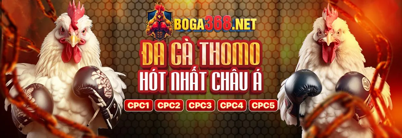 Đá Gà Trực Tuyến iwin456 nhà cái